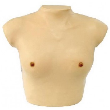 BREAST EXAMINATION SIMULATOR (SOFT)